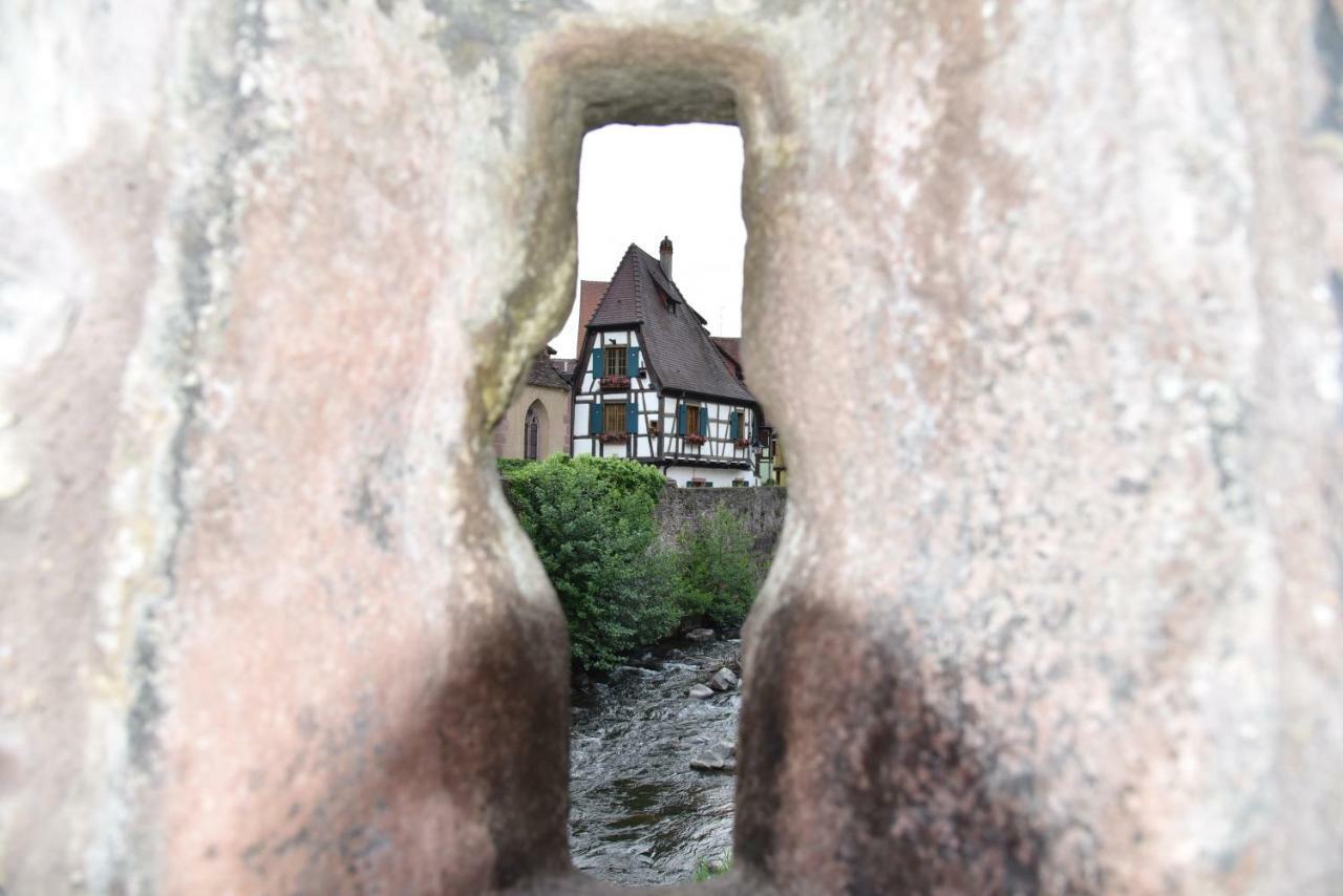 Le Cerisier Villa Kaysersberg-Vignoble Exteriör bild