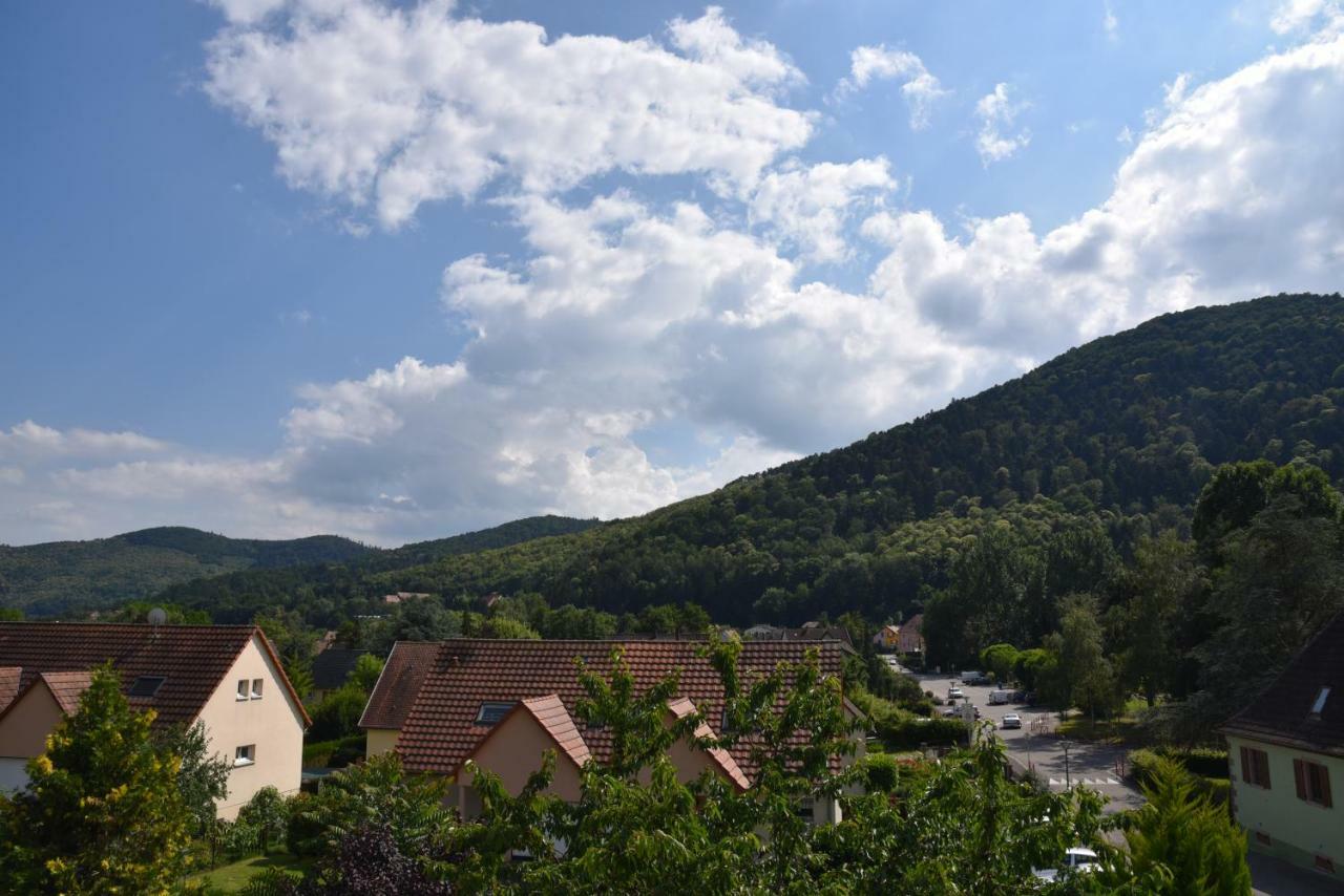 Le Cerisier Villa Kaysersberg-Vignoble Exteriör bild