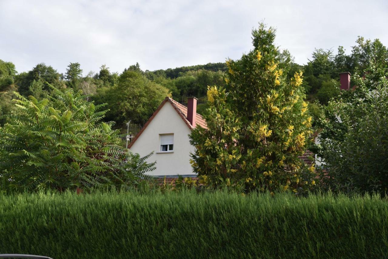 Le Cerisier Villa Kaysersberg-Vignoble Exteriör bild