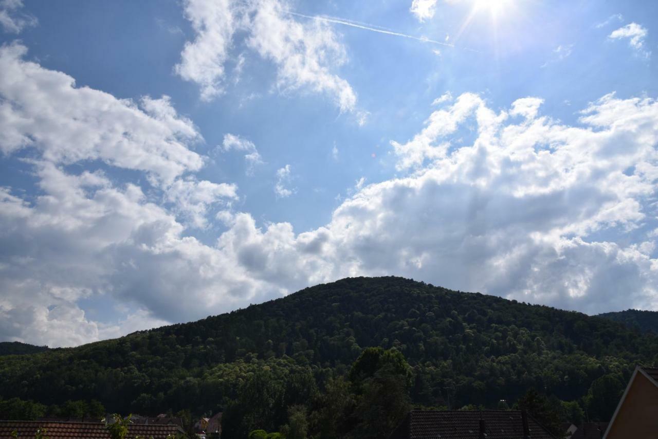 Le Cerisier Villa Kaysersberg-Vignoble Exteriör bild